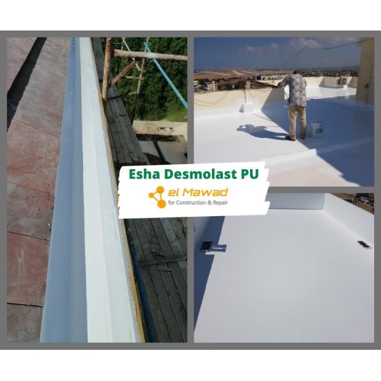 Esha Desmolast  (25 kg)