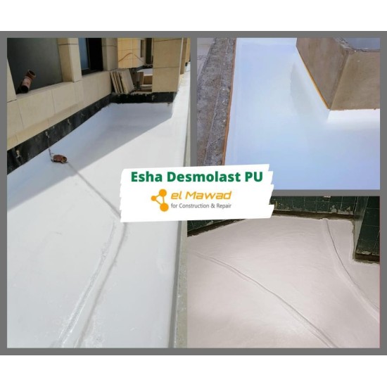 Esha Desmolast  (25 kg)