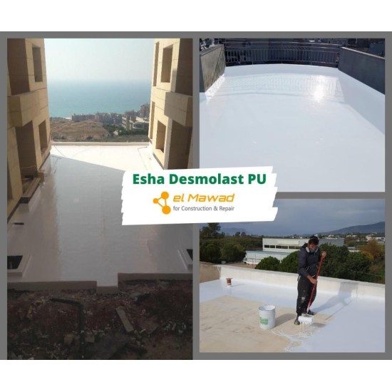 Esha Desmolast  (25 kg)