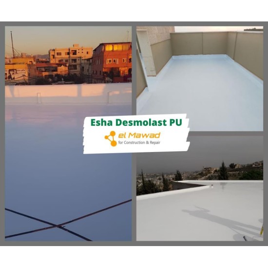 Esha Desmolast  (25 kg)